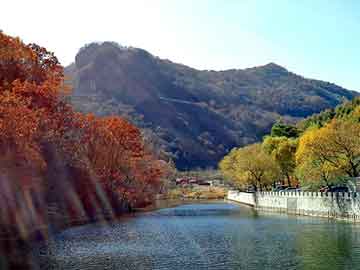 澳门二四六天天彩图库，虎墨沉香